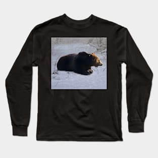 Brown bear in the snow Long Sleeve T-Shirt